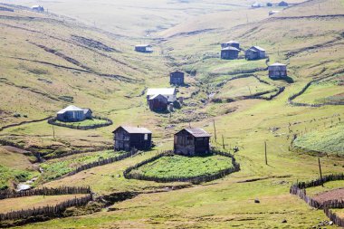 Güzel doğa ve yaz evler Tanrı yolda