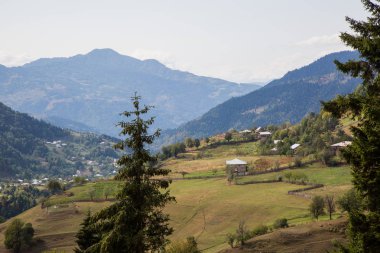 Güzel doğa ve yaz evler Tanrı yolda