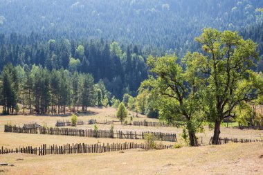 Goderdzi pass yolda güzel sahne