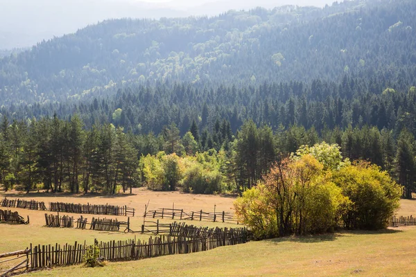 Goderdzi pass yolda güzel sahne