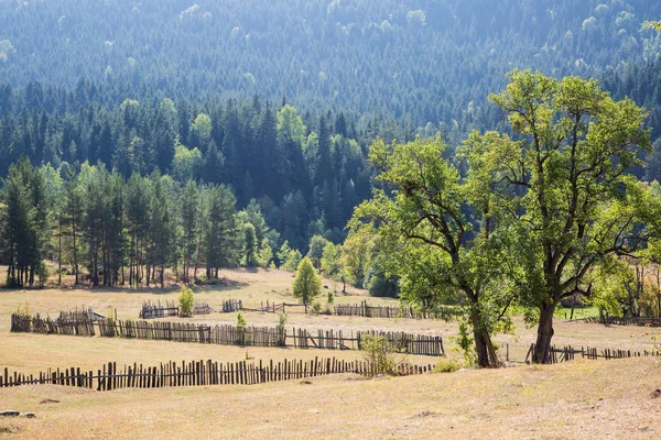 Goderdzi pass yolda güzel sahne