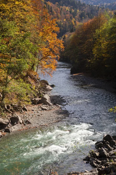 stock image Autumn in the mountains of Adygea and the Belaya River