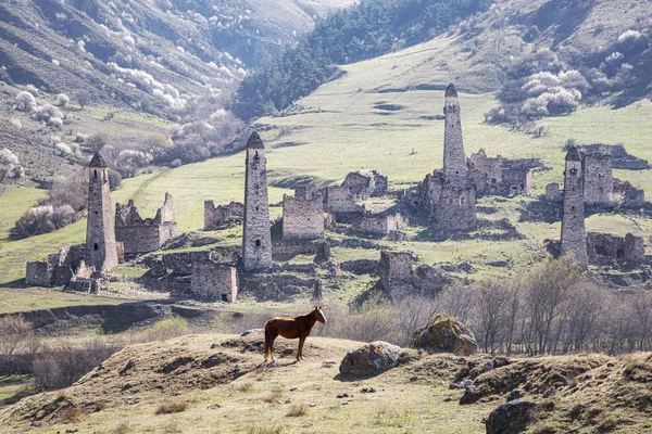 Ingushetia 'nın Dzheyrakhsky ilçesinin kule kompleksleri