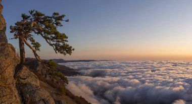 Sonbaharda Kırım 'daki Demerdzhi Dağı' nda puslu bir sabah.
