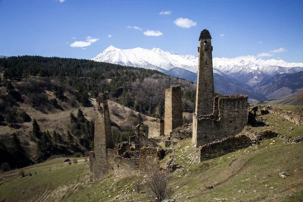 Complexos de torre do desfiladeiro de Dzheyrakhsky de Ingushetia nos s — Fotografia de Stock