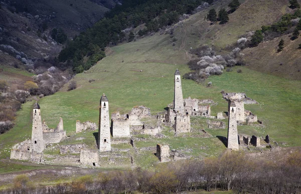 Dzheyrakhsky Boğazı 'nın kule kompleksleri