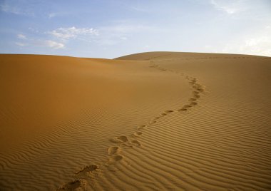 Sary-Kum 'un kumulunda eşsiz bir doğa olayı D' de yer almaktadır.