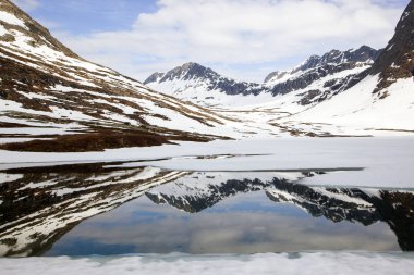 Yazın Norveç 'in kuzeyini geziyorum.