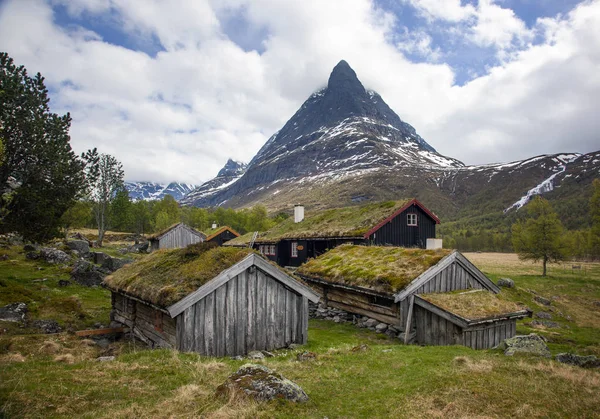 Traditionella, gräsbevuxna hustak i Norge — Stockfoto