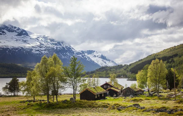 Традиционные, травяные крыши домов в Норвегии — стоковое фото