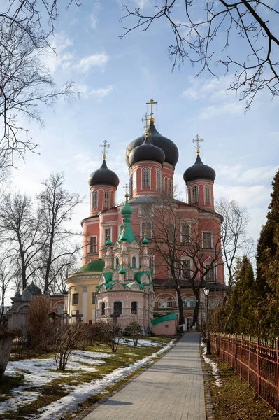Большой Собор Донского Монастыря Территория Москве — стоковое фото