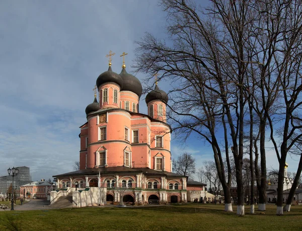 Великий Собор Донського Монастиря Його Територія Москві — стокове фото