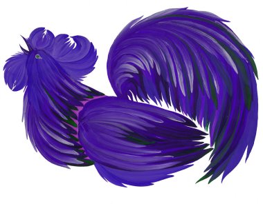 Dekoratif, horoz, tatil