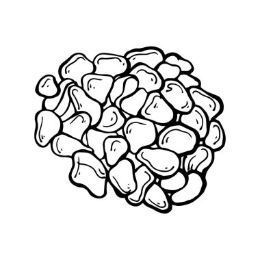 Beyaz arka plan üzerinde izole boyalı deniz çakıl