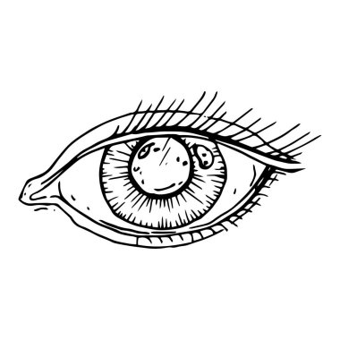  insan gözü beyaz arka plan üzerinde izole boyalı