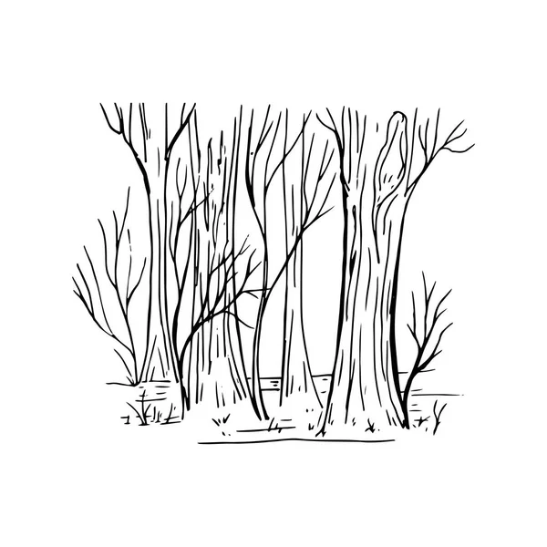 Fragment peint de forêt isolé sur fond blanc — Image vectorielle