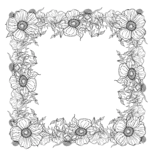 Graphic vector plant sets with wild rose flowers and flower buds — ストックベクタ