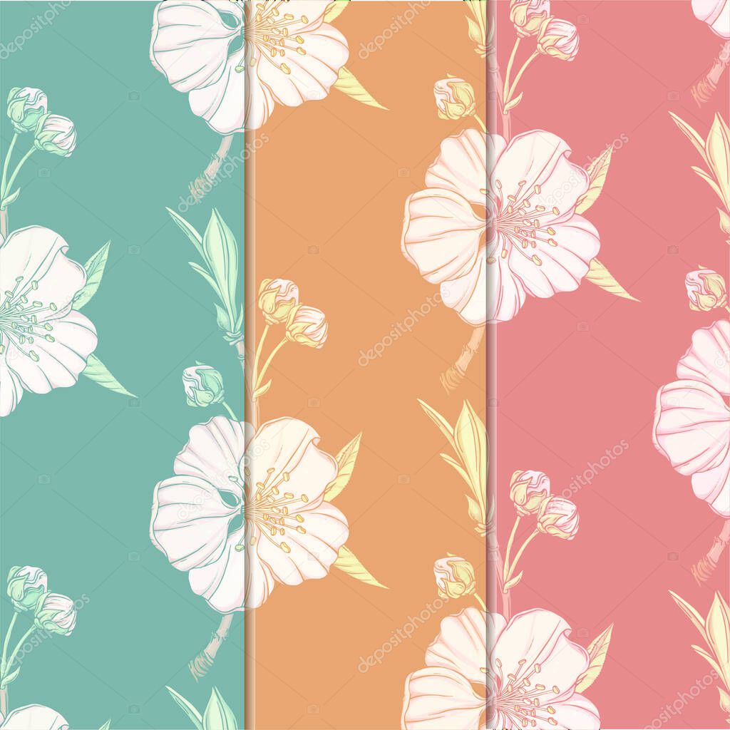 flower background with spring flowers