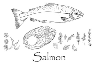 Yengeç ve kral yengecinin siyah beyaz çizimi