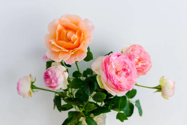 Flores de rosa frescas — Foto de Stock