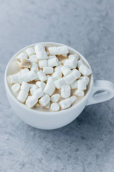 Kakao marshmallows içkiyle — Stok fotoğraf