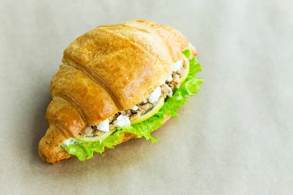 Peynir ve tavuk ile lezzetli kruvasan sandviç görünümünü yakın çekim