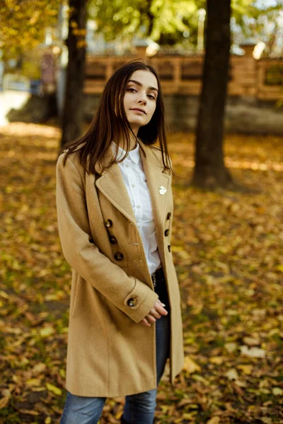 Attractive Young Woman Posing Autumnal Park — Stock Photo, Image