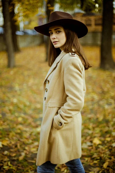 Attrayant Jeune Femme Chapeau Mode Posant Dans Parc Automnal — Photo
