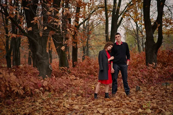 Pareja Joven Feliz Enamorada Parque —  Fotos de Stock