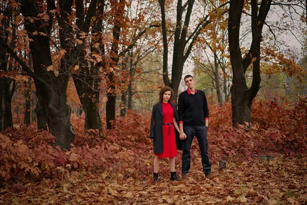 Pasangan Muda Yang Bahagia Jatuh Cinta Taman — Stok Foto