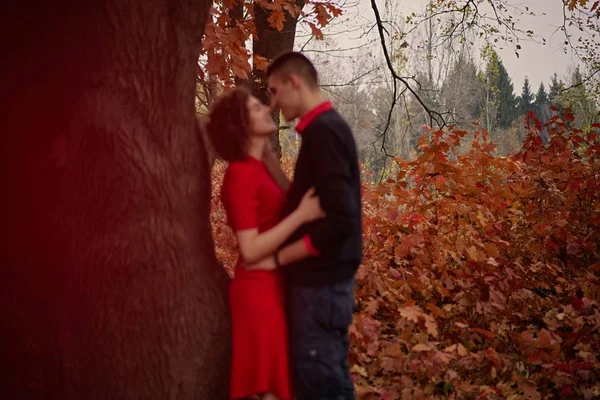 Jong Gelukkig Paar Verliefd Het Park — Stockfoto