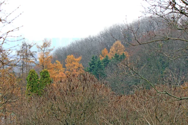 Colores brillantes del otoño en el parque de la ciudad —  Fotos de Stock