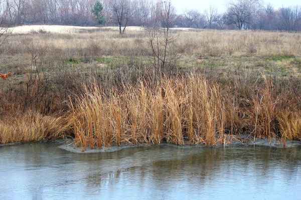 Vista de otoño de la orilla del lago — Foto de Stock