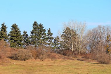 Kiev botanik bahçesindeki pitoresk bir yer.