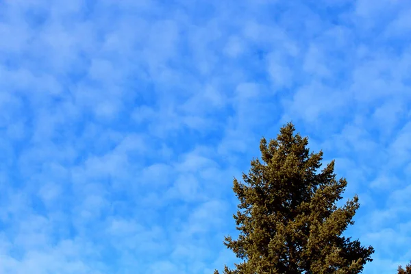 Formas Nuvens Incomuns Céu Outono — Fotografia de Stock