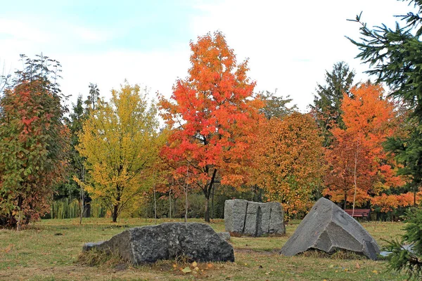 Яркая Разноцветная Осень Городском Парке — стоковое фото