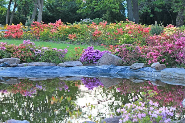 Pintoresco Lugar Jardín Botánico Kiev Imagen de stock