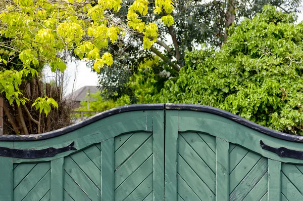 緑の木製の門の背景 ストックフォト