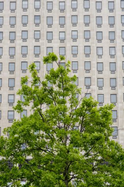 Birden çok windows üzerinde büyük bir ofis Londra İngiltere Europ Binası