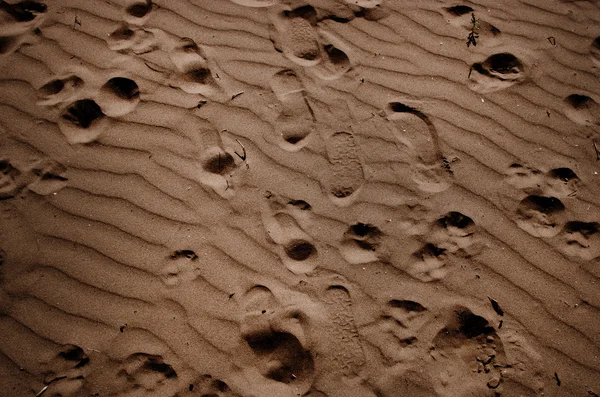 Isolated variety of footprints in the sand — Stock Photo, Image