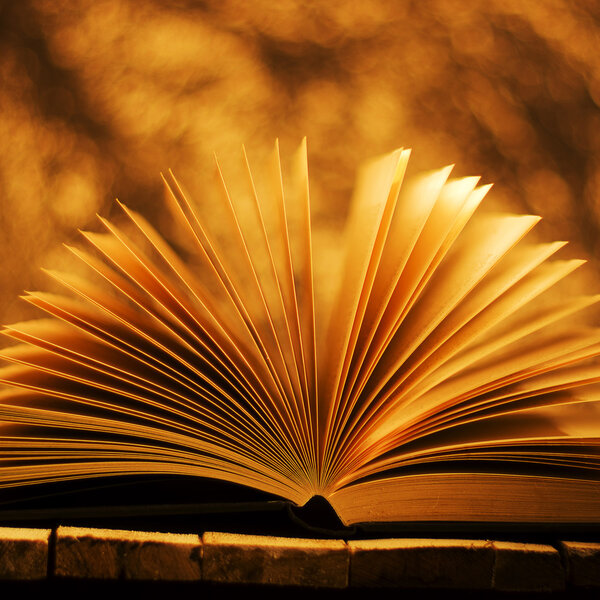Open book on blurred yellow background