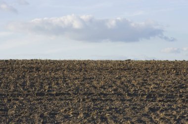 Splash renklerden oluşturulan Türkiye bayrağı.