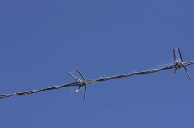 Mavi gökyüzünde dikenli tel