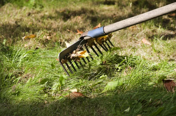 Racking the grass — Stock Photo, Image
