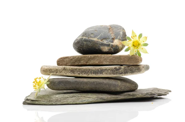 Spa stones and flowers, isolated on white background. — Stock Photo, Image