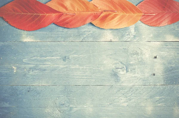Autumn listowie na niebiesko, grunge, podłoże drewniane — Zdjęcie stockowe