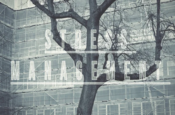 Words stress management written on building scaffolding and tree background.