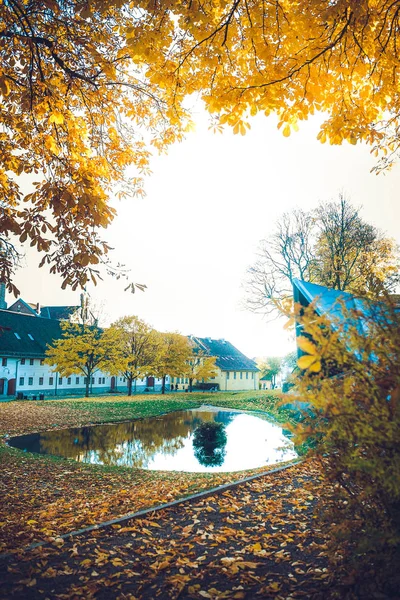 Landscape of buildings and trees — Stock Photo, Image