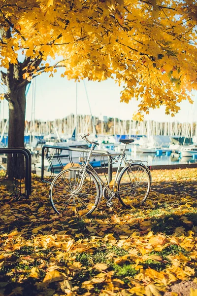 Bicycle along wharf — Stock Photo, Image