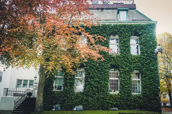 Huis in groene planten — Stockfoto